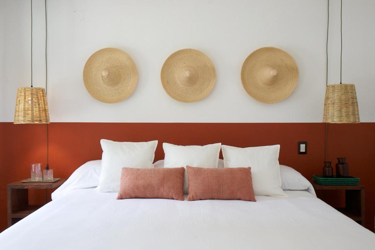 Amazinn Places Casa Coyoacan Mexico Extérieur photo